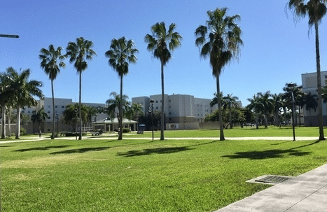 Housing Lawn on FAU campus